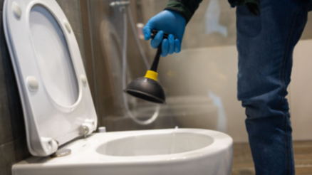 How to Unblock a Toilet cover image
