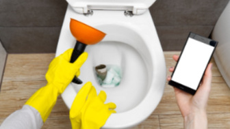 How to Unblock a Toilet content image 1