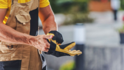 Winter Damp and Mould in London Homes: Quick Fixes and Trusted Tradespeople cover image