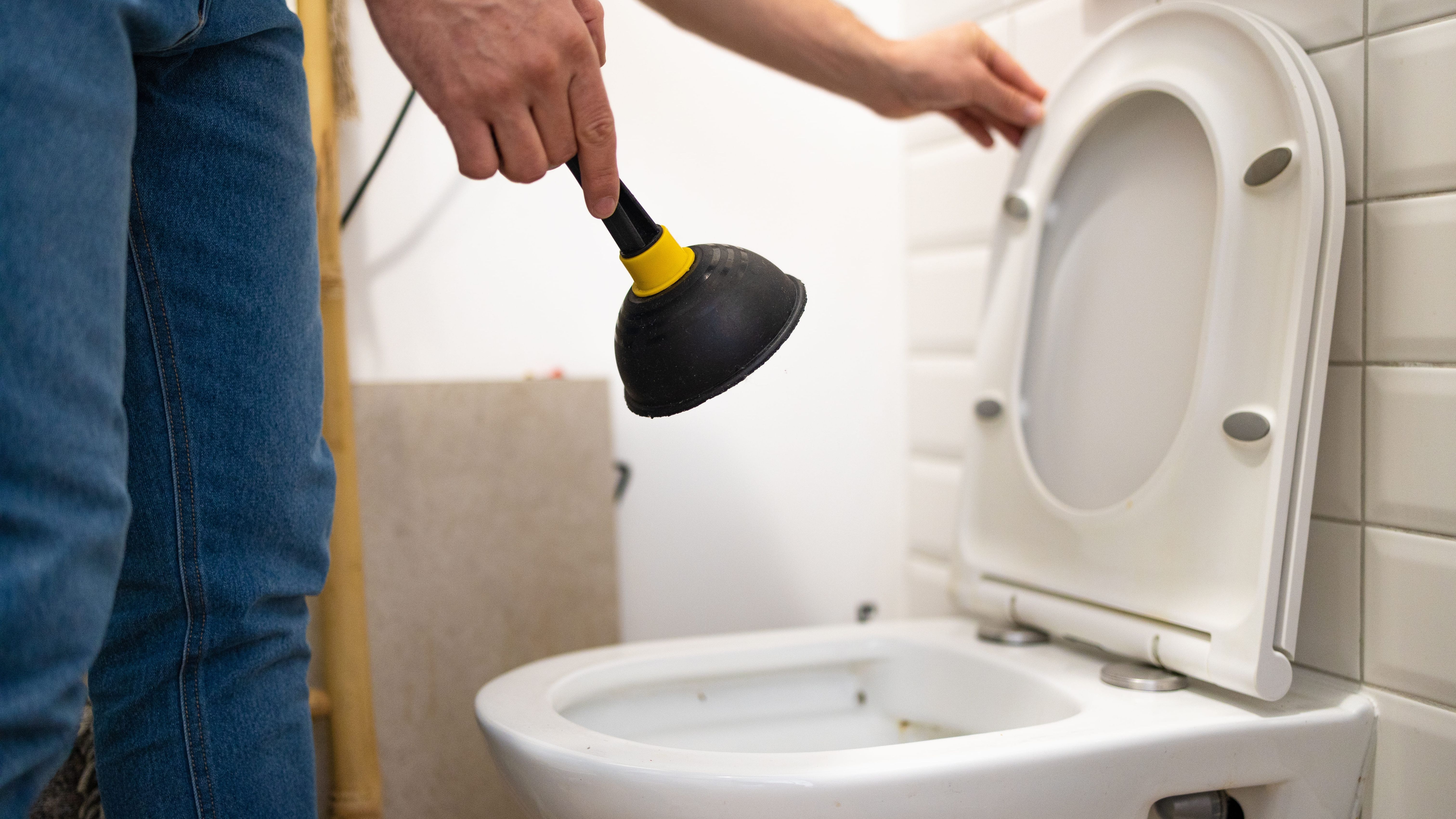Toilet Won’t Flush? Here’s How to Fix It content image 1