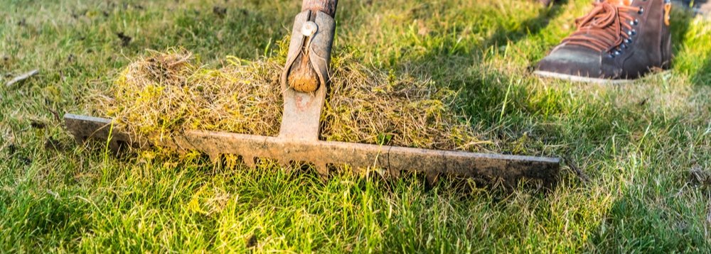 Per Hour-Garden Clearance