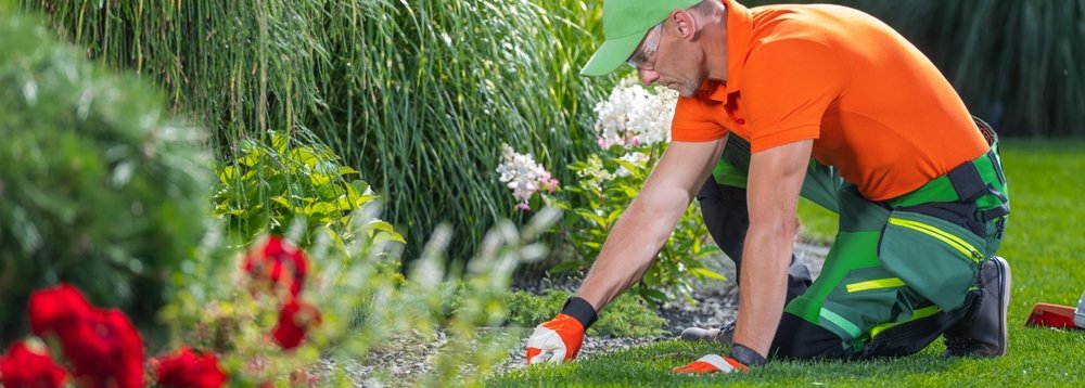 Garden Maintenance