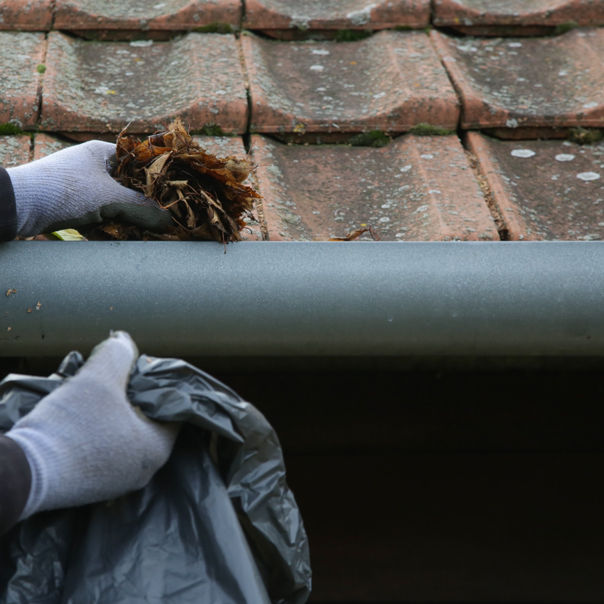 Clear Blocked Gutter